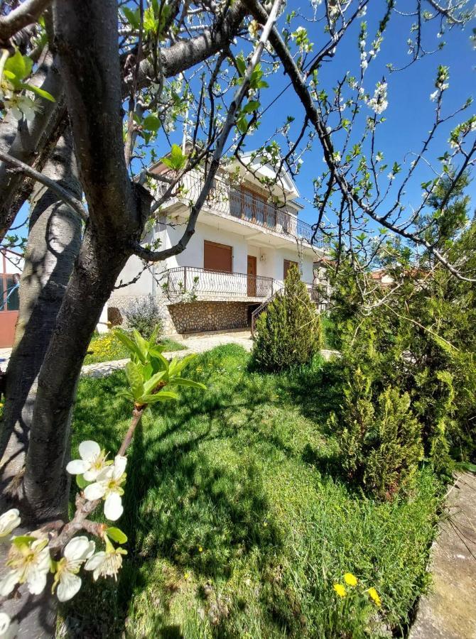 Prespa'S Balcony Guesthouse Dolna Gorica Ngoại thất bức ảnh