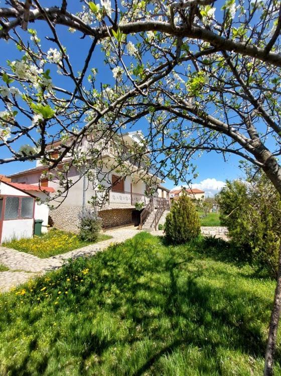 Prespa'S Balcony Guesthouse Dolna Gorica Ngoại thất bức ảnh