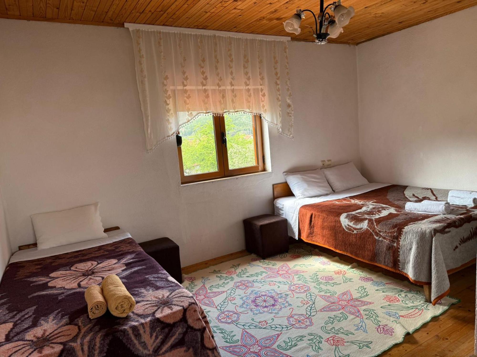 Prespa'S Balcony Guesthouse Dolna Gorica Ngoại thất bức ảnh